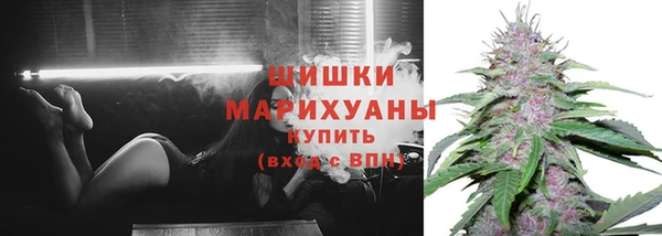 2c-b Липки